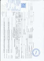 Кассовые чеки с подтверждением в Новом Осколе